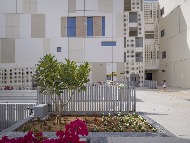South View School / R+D Studio - Экстерьерная фотография, окна, фасад, забор