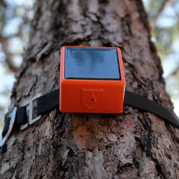 «Сами деревья» поднимают тревогу о лесных пожарах в системе обнаружения ForestGuard