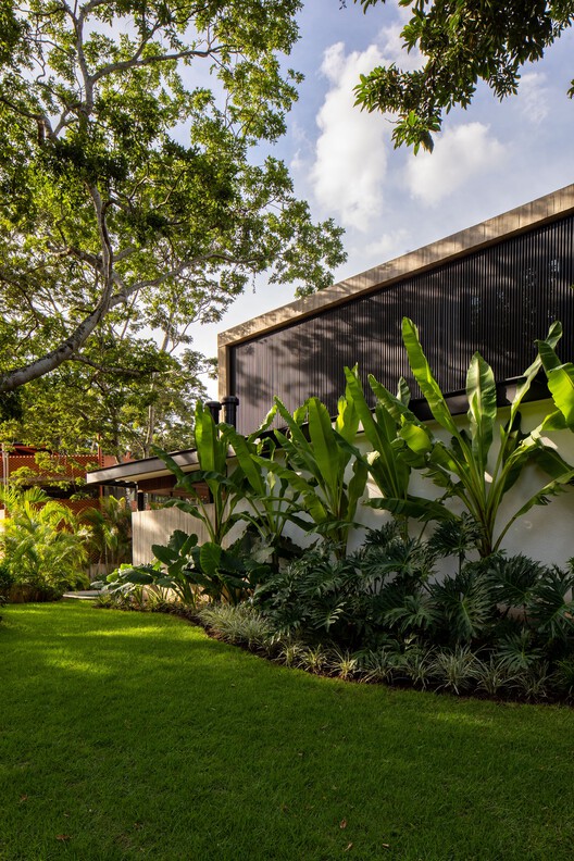 Floresta House / DB Estudio de Arquitectura - Экстерьерная фотография, Сад, Двор