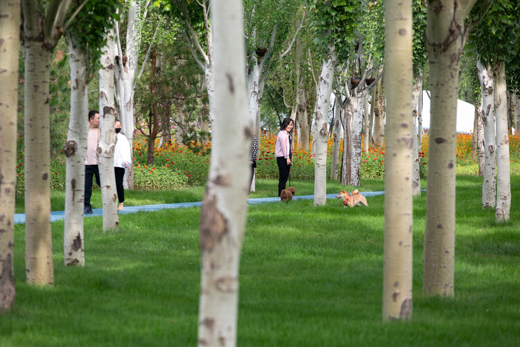 Спортивный парк Ordos Smart / PLAT ASIA - Фотография экстерьера, лес