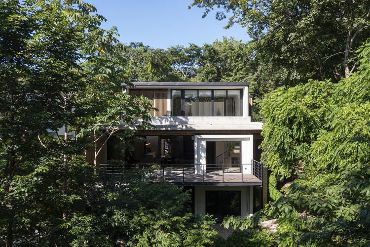 Jungla House / FAMM Arquitectura - Фотография Экстерьера, Окна, Лес