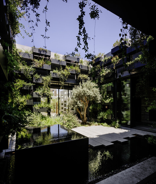 Minthis Hills / Woods Baggot - Экстерьерная фотография, сад, двор