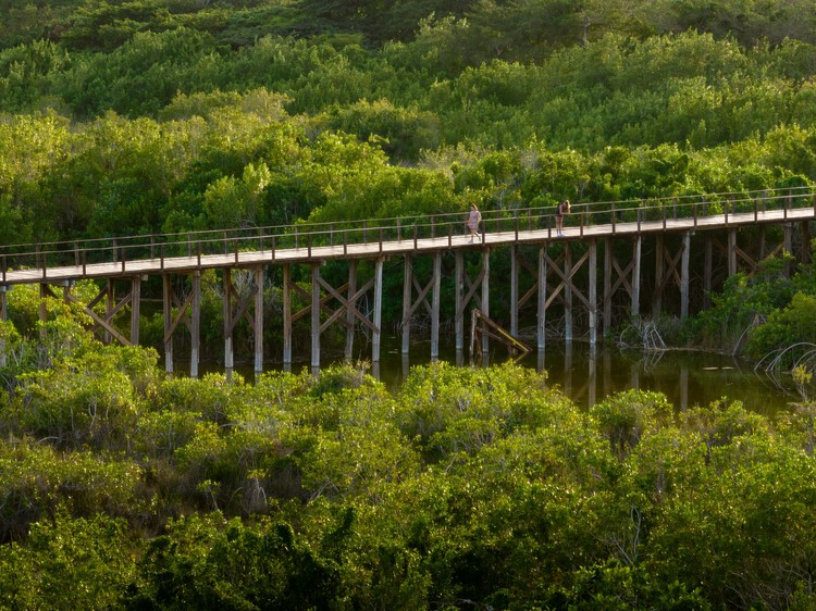Bacalar Eco-Park / Colectivo C733 - Экстерьерная фотография, Набережная, Балка, Лес