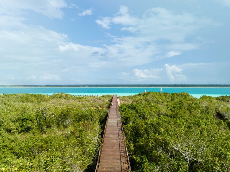 Bacalar Eco-Park / Colectivo C733 - Экстерьерная фотография, Побережье, Лес
