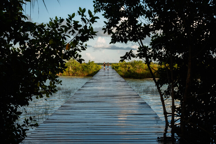 Bacalar Eco-Park / Colectivo C733 - Экстерьерная фотография, Набережная, Лес, Побережье