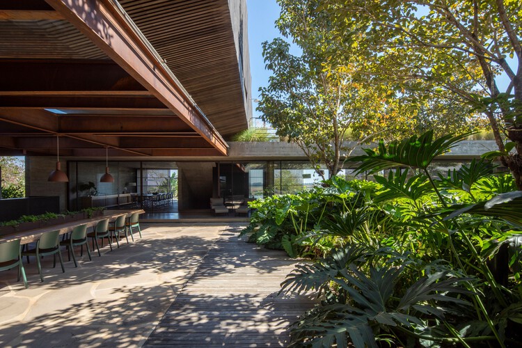 Serra House / Marcelo Couto Arquitetura + Rodrigo Oliveira Paisagismo - Экстерьерная фотография, Сад, Двор, Патио