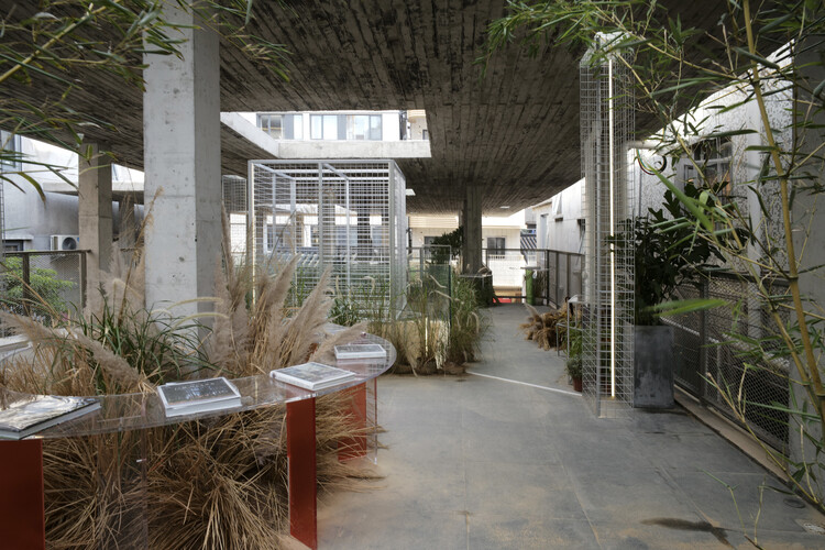 Деревня в городской деревне / TAO - Бюро Trace Architecture - Экстерьерная фотография, Сад