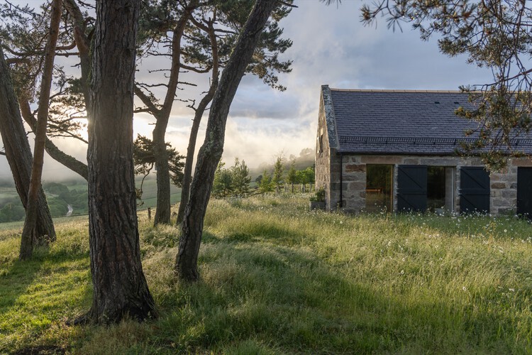 Ardoch House / Moxon Architects — фотография экстерьера, окна, лес