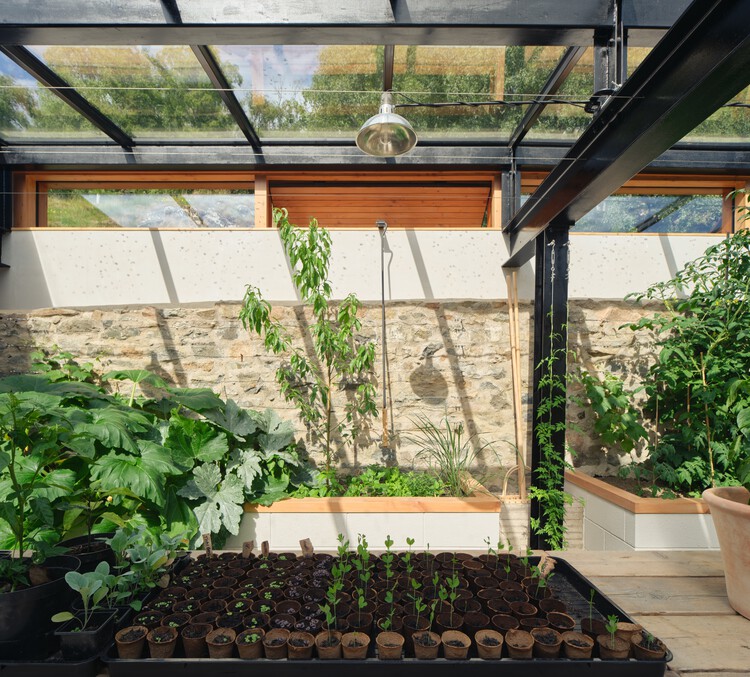 Ardoch House / Moxon Architects – Экстерьерная фотография, сад