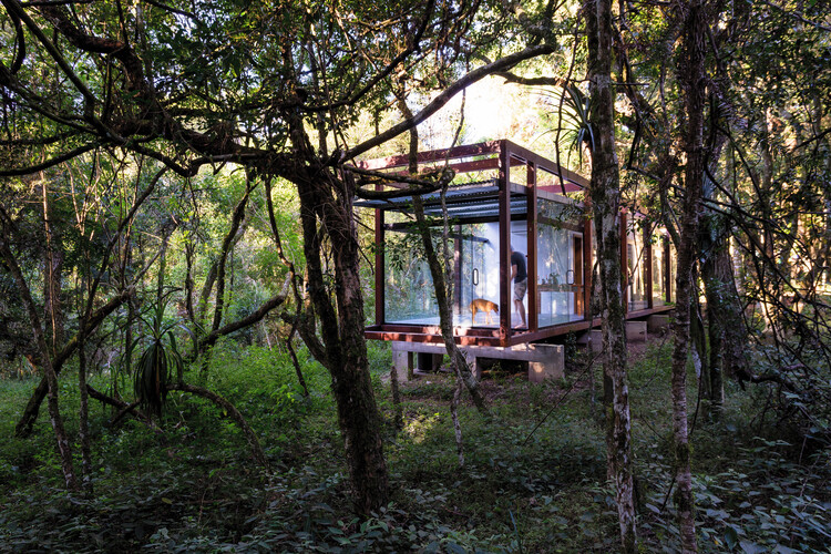 Павильон Гуаху / YVA Arquitetura - Экстерьерная фотография, Лес