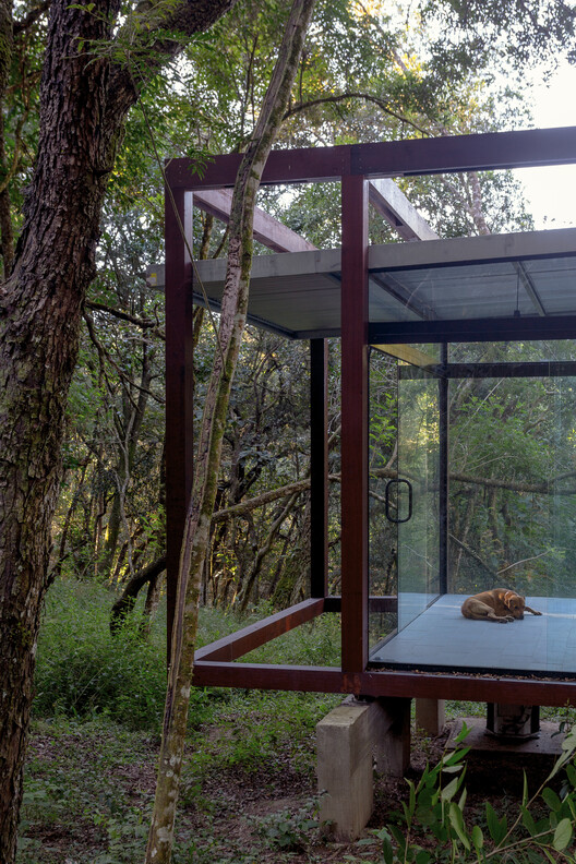 Павильон Гуаху / YVA Arquitetura — фотография экстерьера, стол, лес