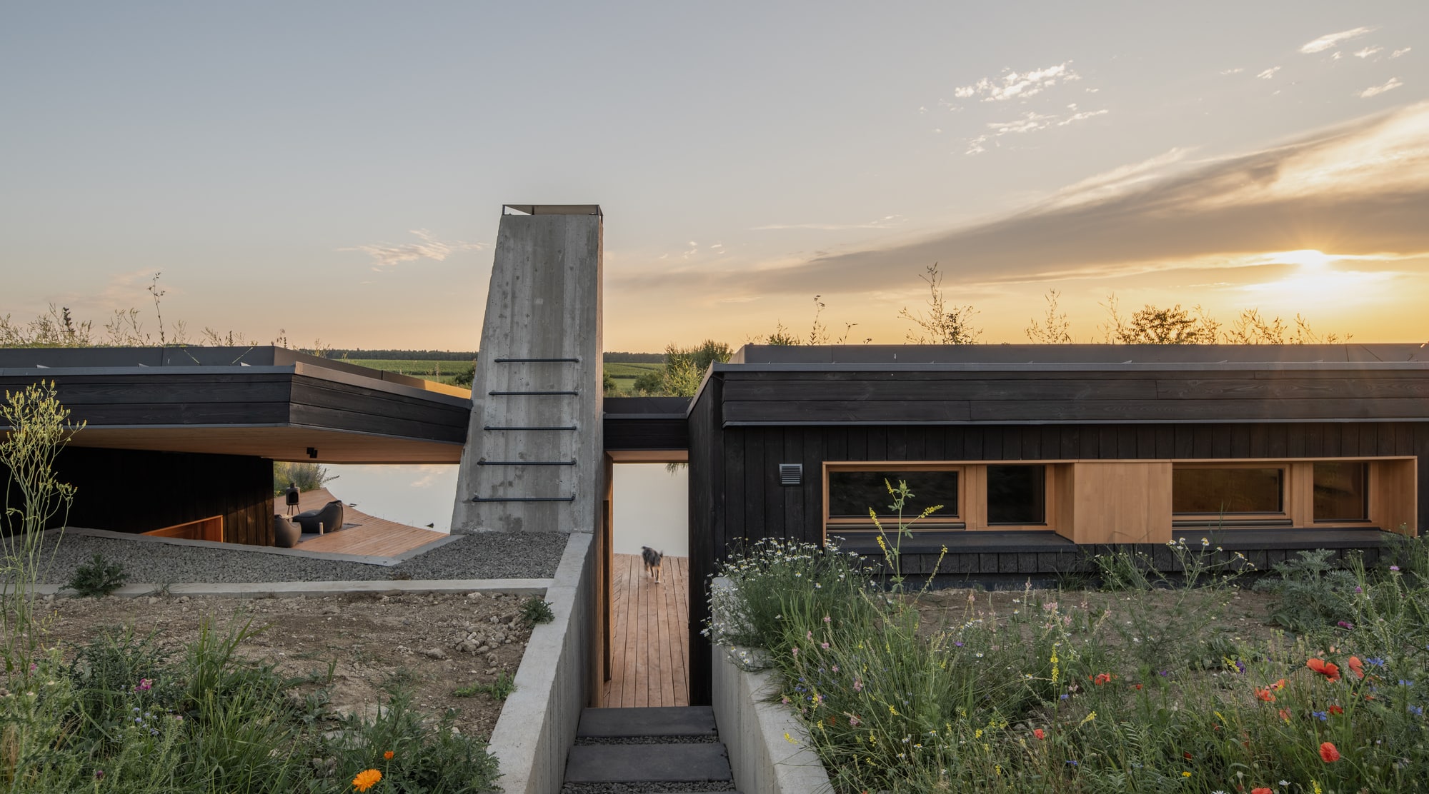 CLT House / Привет Вуд