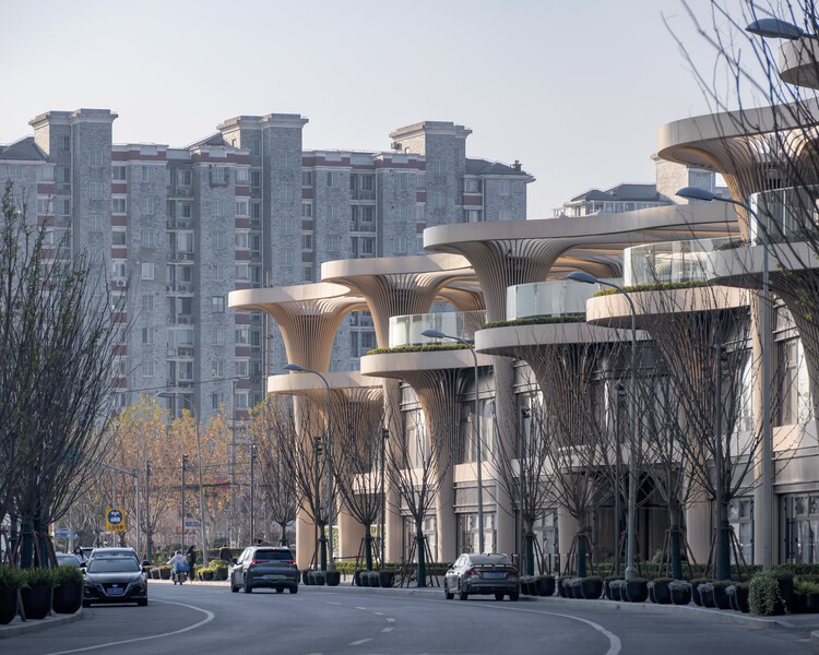 Рынок солнечных деревьев / Koichi Takada Architects - Экстерьерная фотография, окна, фасад