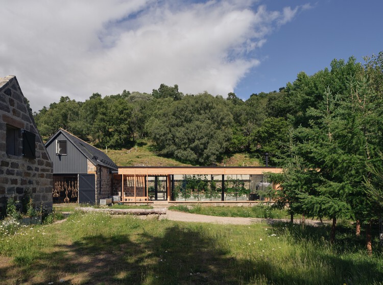Ardoch House / Moxon Architects — фотография экстерьера, окна, лес
