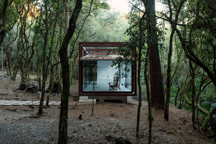 Павильон Гуаху / YVA Arquitetura - Экстерьерная фотография, Лес