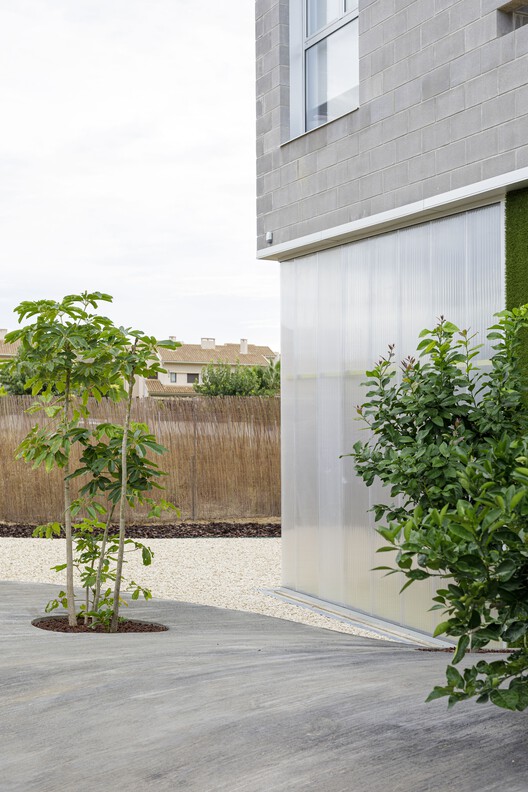 Muscles House / Impepinable Studio - Экстерьерная фотография, окна, сад, двор