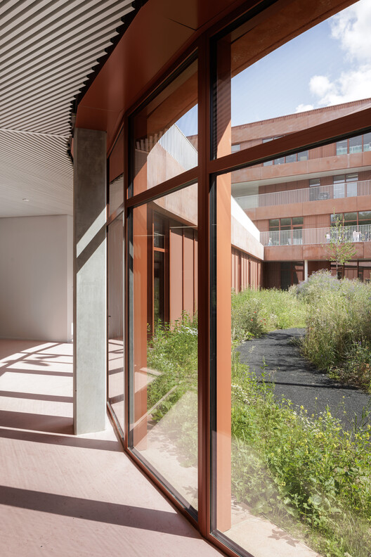 Детский кампус Theodoor / cuypers & Q Architecten - Фотография интерьера, окон, фасада