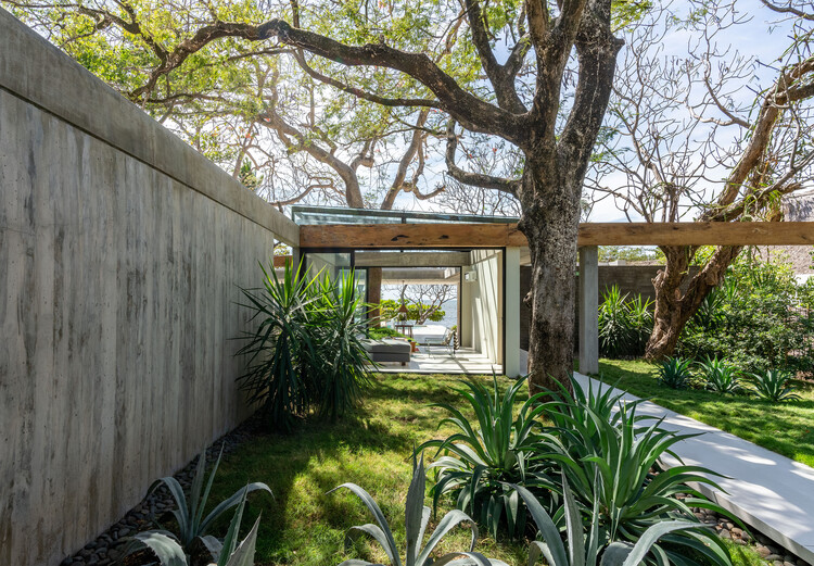 Mayo House / Elástica Studio - Экстерьерная фотография, сад