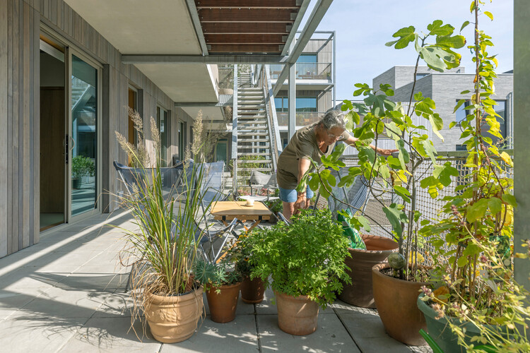wij_land Housing / Space&Matter - Фотография интерьера, сада, окон
