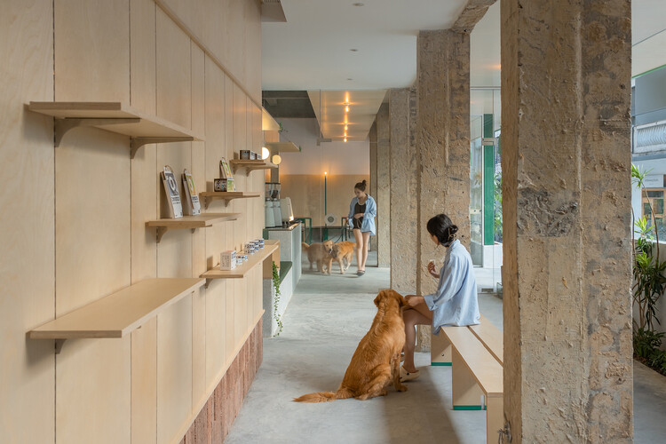 gogoland Pet Community / Неформальный дизайн — Фотография интерьера, кухни