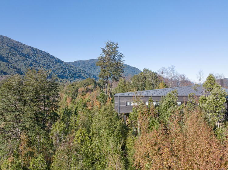 Apfel House / Hebra Arquitectos - Экстерьерная фотография, Лес