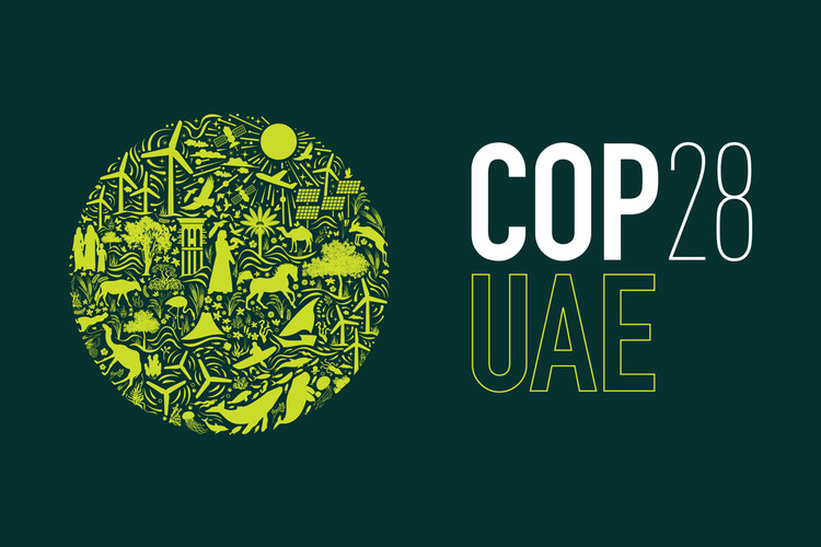 Билл МакКиббен о COP28, сохранении надежды и прогулке по лесу – изображение 3 из 3