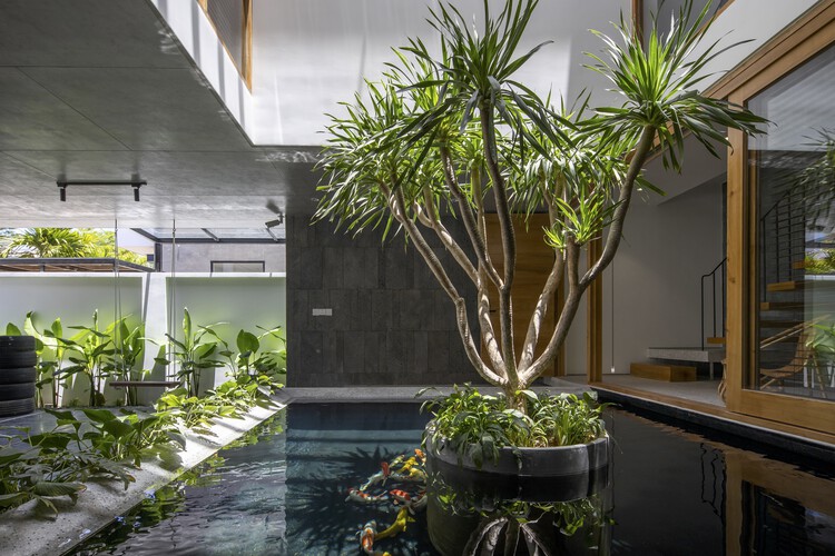 TT House / PsA Architecture - Фотография интерьера, сада