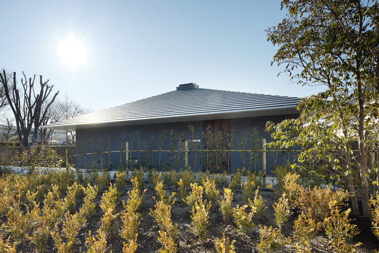 WO House / Yo Yamagata Architects — фотография экстерьера, окна, лес