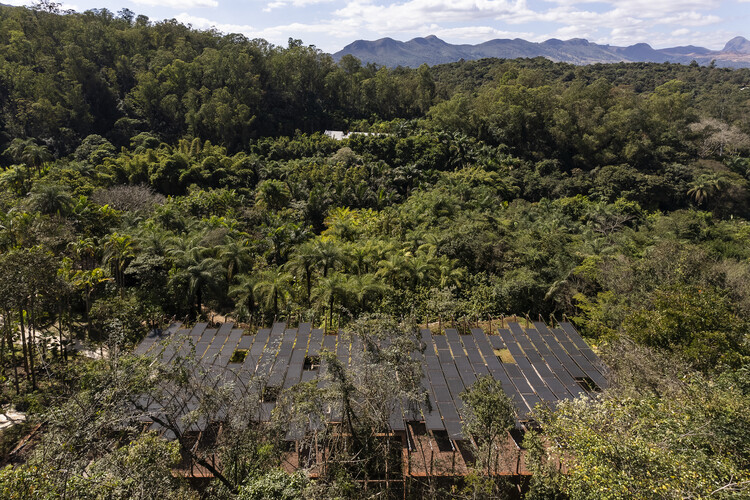 Галерея Яёи Кусама / MACh Arquitetos + Rizoma Arquitetura - Фотография экстерьера, лес