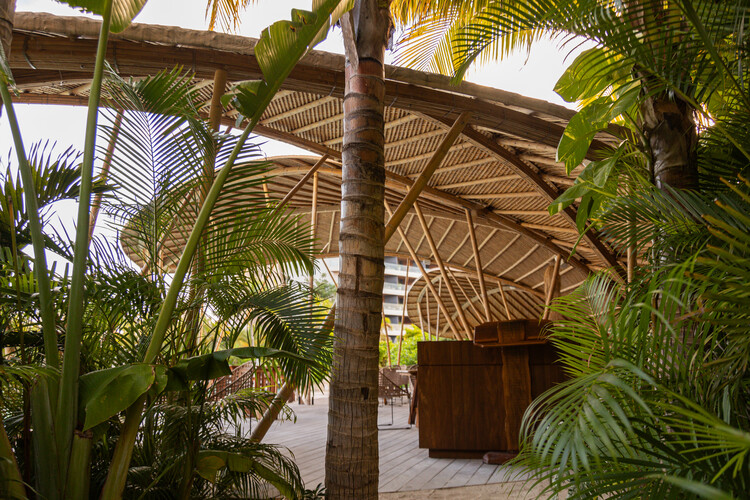 Ресторан Bamboo / Хорхе Келлехер - Фотография интерьера, лес