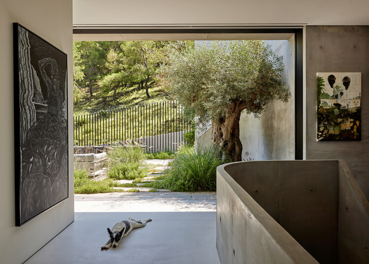 Art House / Kallos Turin - Фотография интерьера, бетона, двора