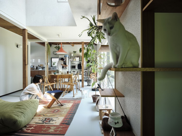 Fueda House / ROOVICE - Фотография интерьера, стеллаж, стул