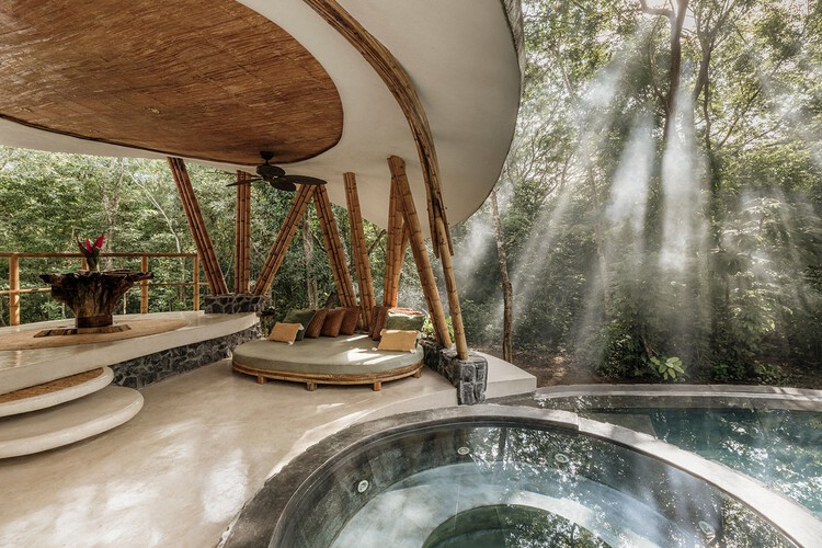 The Trillium Awakening / NOD Studio - Интерьерная фотография, Дерево