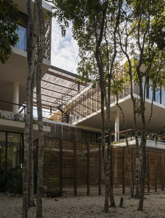 Амелия Тулум / Sordo Madaleno Arquitectos — Изображение 11 из 30