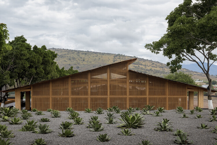 Mezcal Distillery / студия ALA — изображение 3 из 17