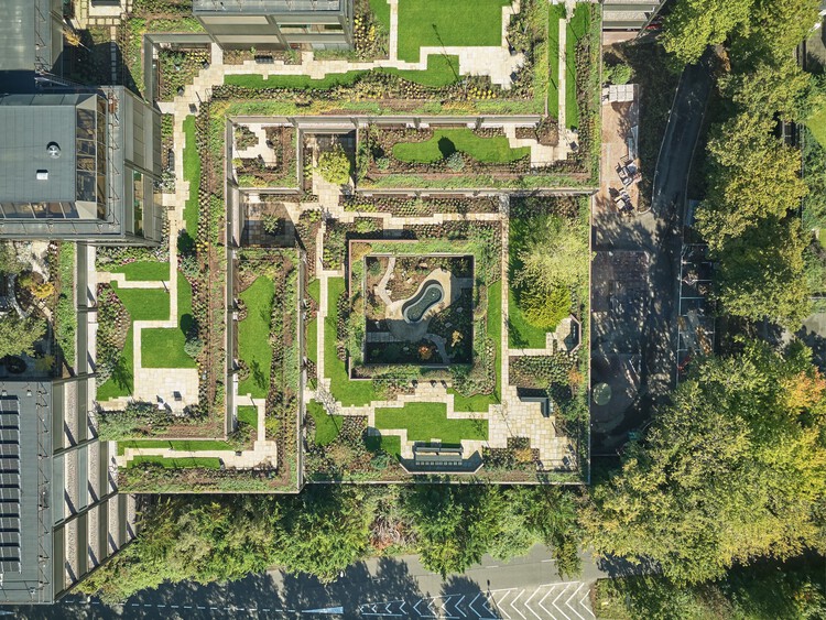 Офисы и реставрация садов Plant Basingstoke / Studio Knight Stokoe + Twelve Architects + Grant Associates + Feilden Clegg Bradley Studio — изображение 6 из 45