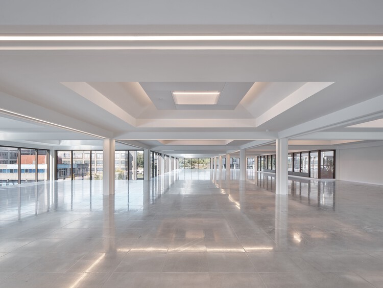 Офисы и реставрация садов завода в Бейзингстоке / Studio Knight Stokoe + Twelve Architects + Grant Associates + студия Feilden Clegg Bradley — изображение 11 из 45
