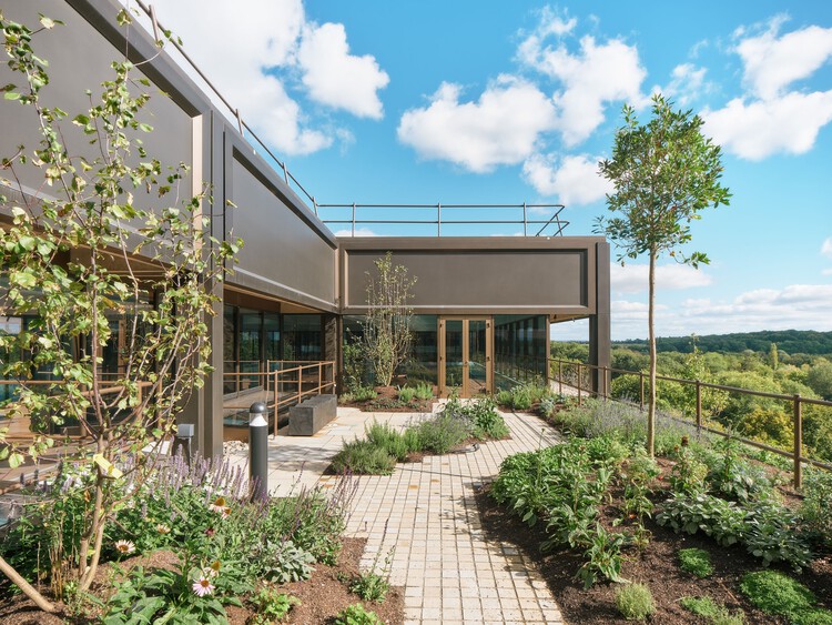 Офисы и восстановление сада Plant Basingstoke / Studio Knight Stokoe + Twelve Architects + Grant Associates + Feilden Clegg Bradley Studio — изображение 5 из 45