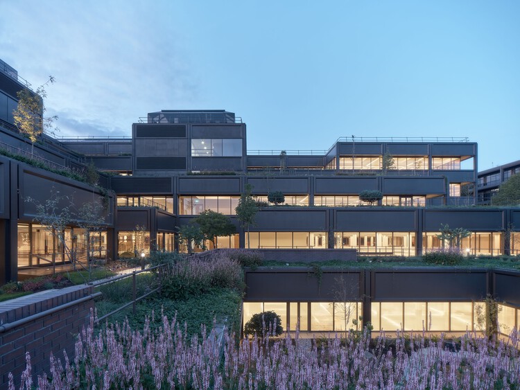 Офисы и восстановление сада Plant Basingstoke / Studio Knight Stokoe + Twelve Architects + Grant Associates + Feilden Clegg Bradley Studio — изображение 14 из 45