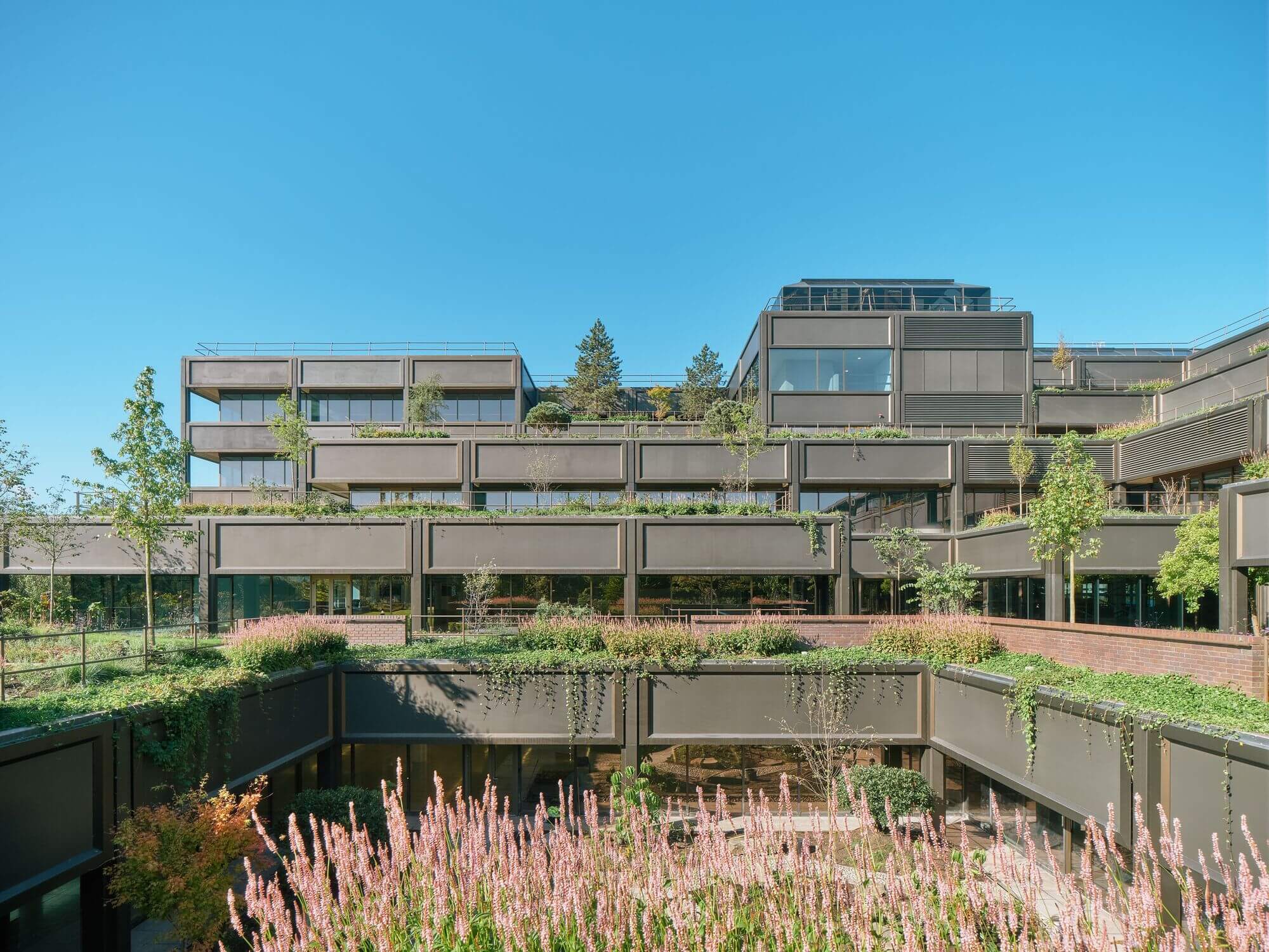 Офисы и реставрация садов Plant Basingstoke / Studio Knight Stokoe + Twelve Architects + Grant Associates + Feilden Clegg Bradley Studio