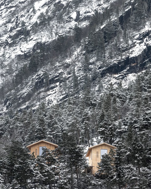Steep Housing / Reiulf Ramstad Arkitekter - Экстерьерная фотография, Лес