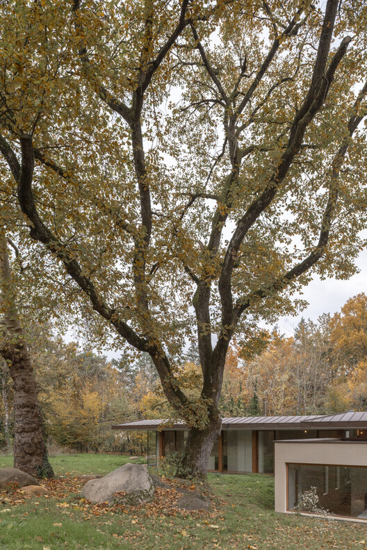Sous Les Ailes Bioclamatic House / Kida Architecture & Design - изображение 6 из 30