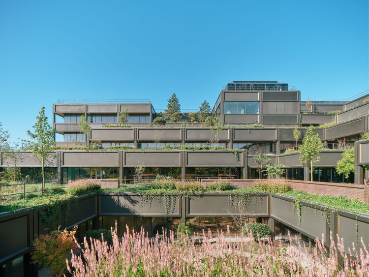Офисы и реставрация садов Plant Basingstoke / Studio Knight Stokoe + Twelve Architects + Grant Associates + Feilden Clegg Bradley Studio — изображение 1 из 45