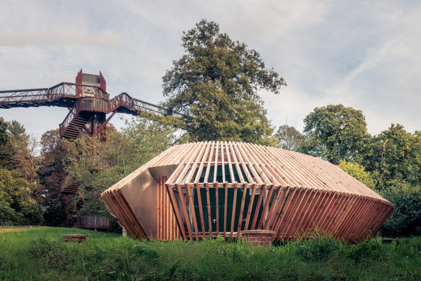 Деревянный корпус Hugh Broughton Architects