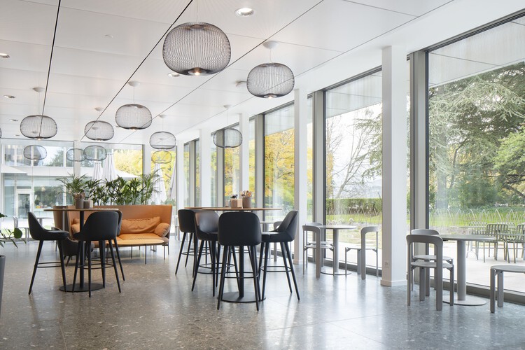 Bellerivestrasse 36 Zürich Офисное здание / CF Møller - Интерьерная фотография, столовая, стекло, стул