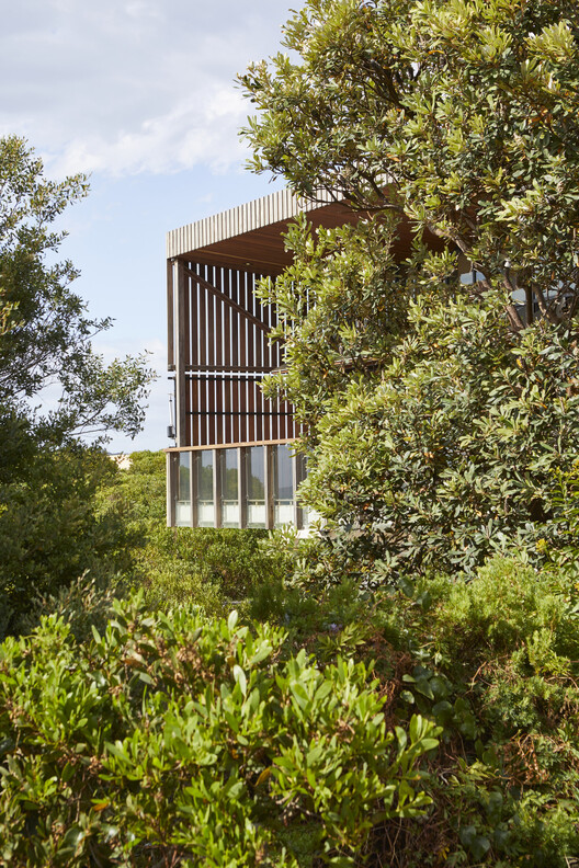 Long Reef Surf Life Saving Club / Adriano Pupilli Architects - изображение 9 из 19