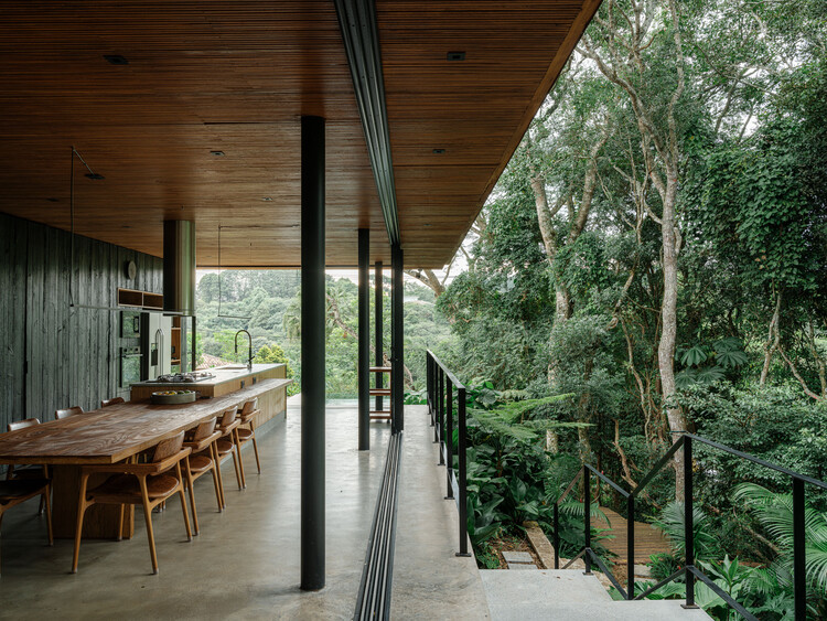 Guapuruvus House / Cornetta Arquitetura - Интерьерная фотография, лес, лес