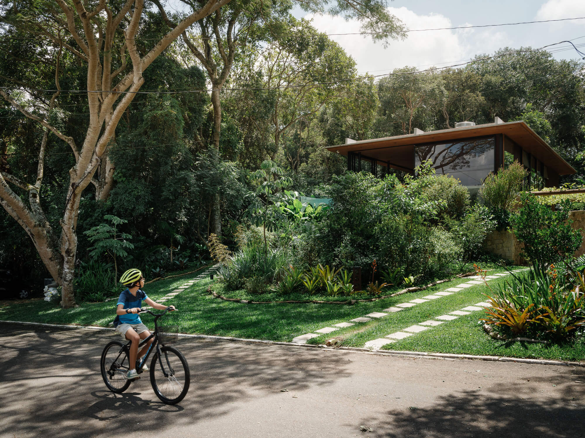 Guapuruvus house / cornetta arquitetura