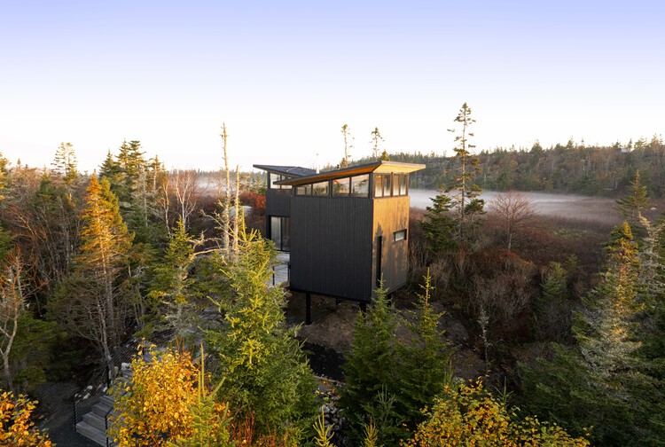 Lambkill Ridge / Peter Braithwaite Studio Ltd. - Внешняя фотография, лес