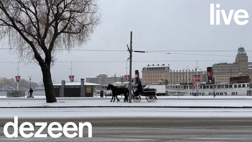 лошадь